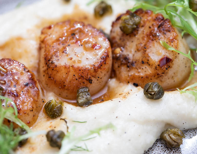 Scallops